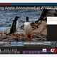 Image for article titled 9 Common Browser Problems and How to Fix Them